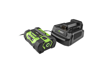 Ego standard charger and battery